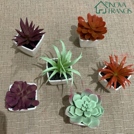 Mini Arranjos Decorativos Suculentos 6 Peças - Últimas unidades