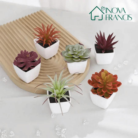 Mini Arranjos Decorativos Suculentos 6 Peças - Últimas unidades