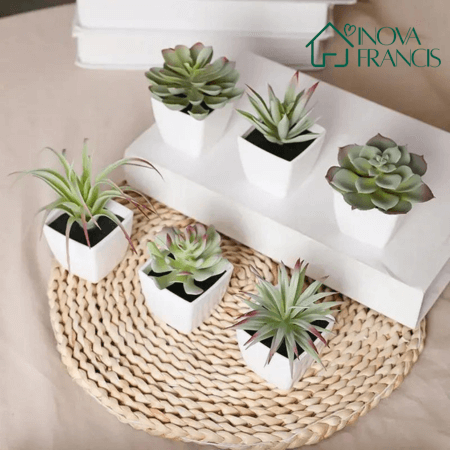 Mini Arranjos Decorativos Suculentos 6 Peças - Últimas unidades