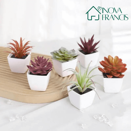 Mini Arranjos Decorativos Suculentos 6 Peças - Últimas unidades