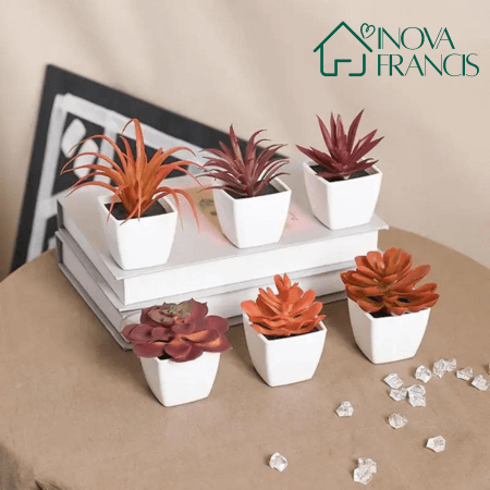 Mini Arranjos Decorativos Suculentos 6 Peças - Últimas unidades