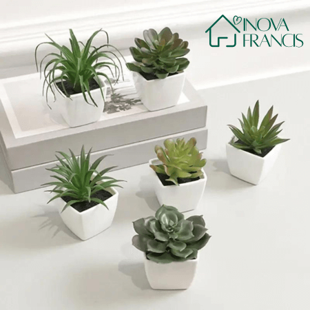 Mini Arranjos Decorativos Suculentos 6 Peças - Últimas unidades