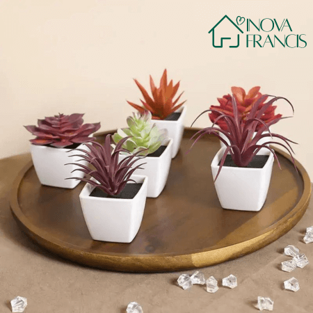 Mini Arranjos Decorativos Suculentos 6 Peças - Últimas unidades