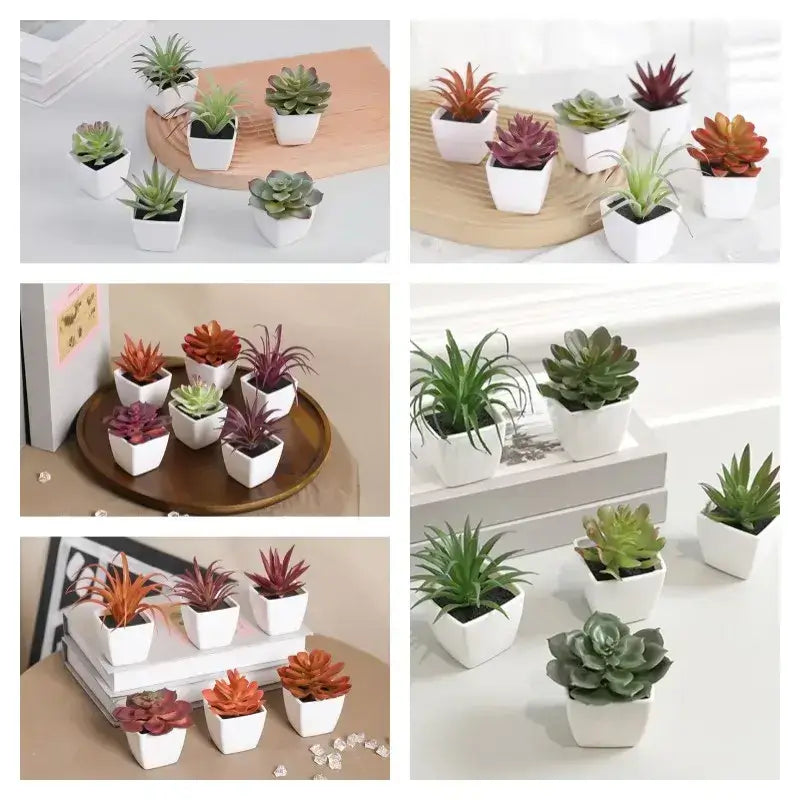 Mini Arranjos Decorativos Suculentos 6 Peças - Últimas unidades